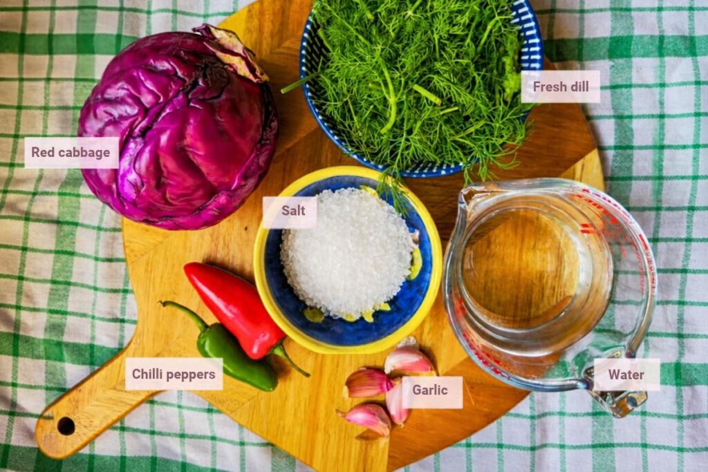 Ingredients for pink sauerkraut: a whole red cabbage, fresh dill, coarse salt, a jug of water, red and green chilies and garlic cloves.