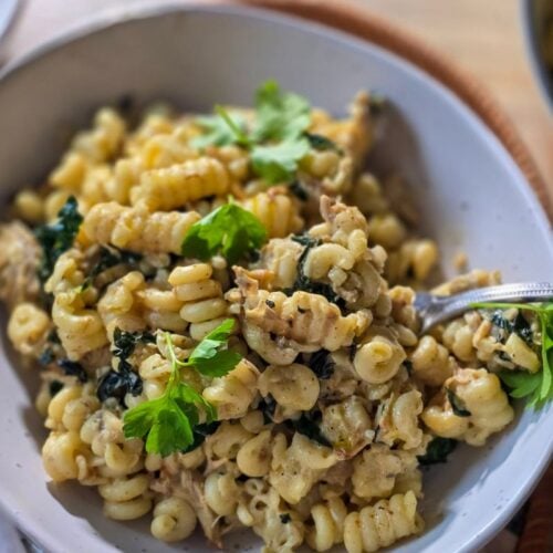 A white bowl of chicken curry pasta with parsley garnish and a fork inside