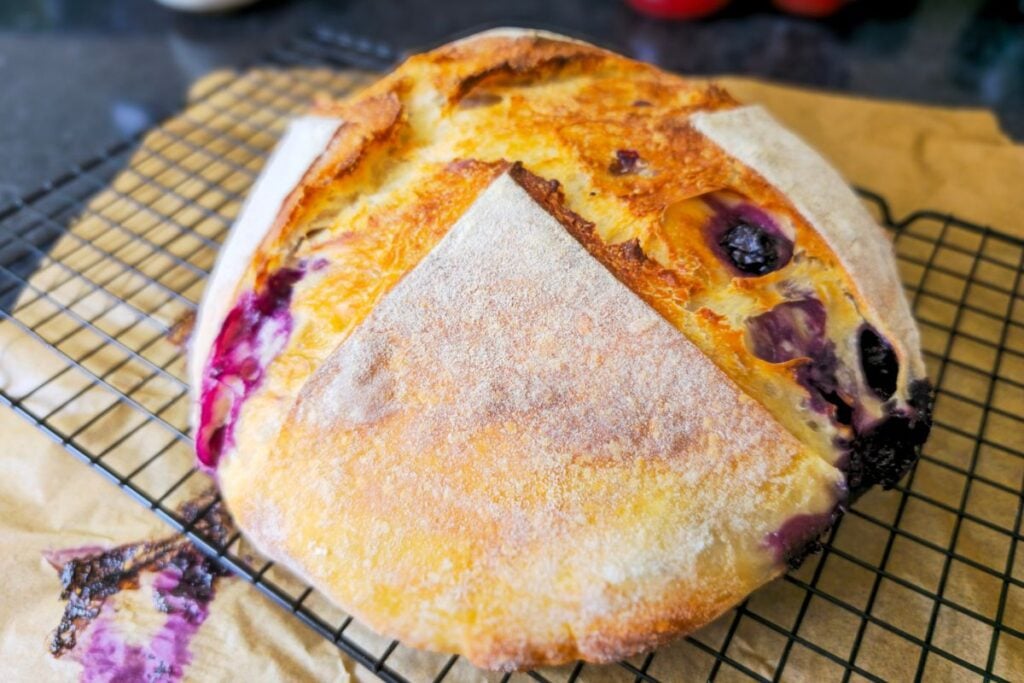 Freshly baked blueberry sourdough bread on parchment paper, golden crust with blueberry juice bleeding through, just out of the Dutch oven.