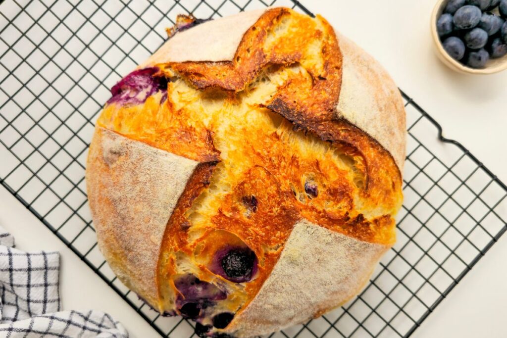 Whole blueberry sourdough bread boule scored with a cross, blueberries bursting through the crust, on a wire cooling rack with a bowl of fresh blueberries beside it.