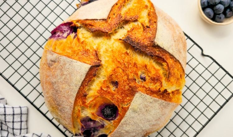 Soft Blueberry Sourdough Bread with Tangzhong