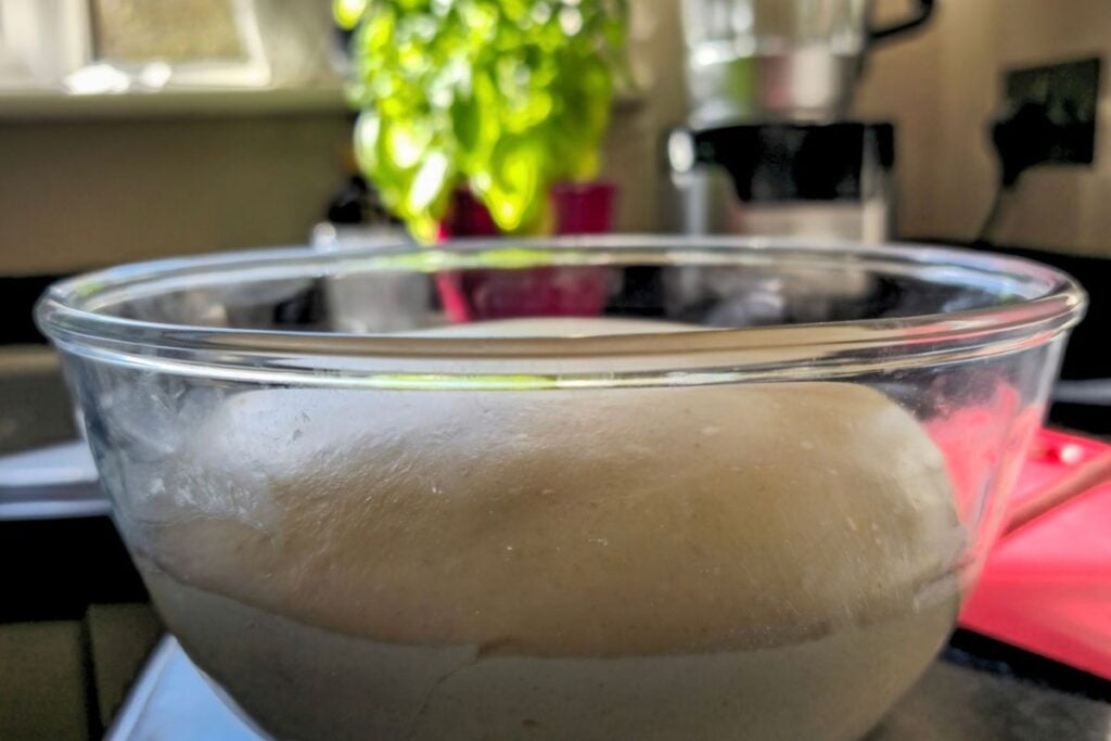Puffy and domed sourdough brioche dough in glass bowl after bulk fermentation.